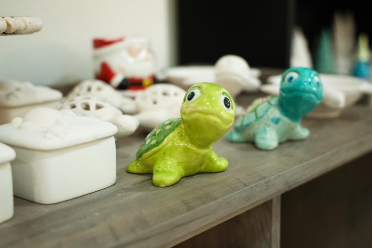 As it sits on a shelf in the pottery studio, the ceramic turtle serves as a decorative reminder of the store's name. The name "Speckled Turtle" was chosen by Gilbert because turtles were the most popular pieces to paint at her previous pottery business.