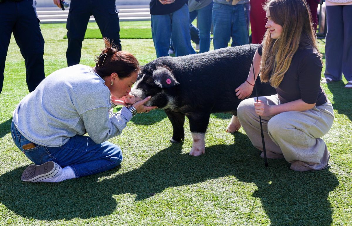 Laura Mercer kissing a pig at FFA week on Feb. 26. Students voted on the staff member that had to kiss a pig, and Mercer was selected.